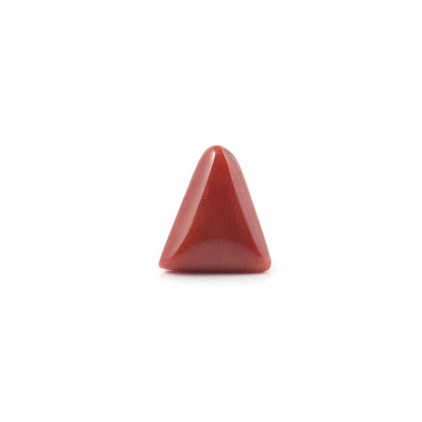 Red Coral - 4.9 Carat - Pramogh