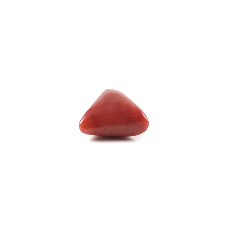 Red Coral - 4.9 Carat - Pramogh