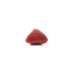 Red Coral - 4.9 Carat - Pramogh