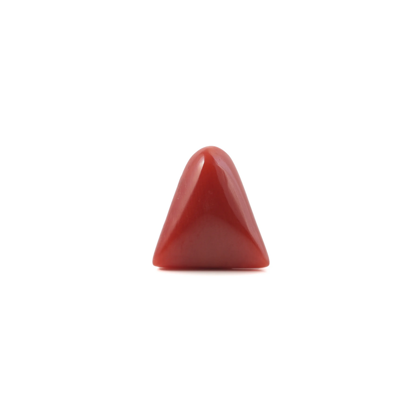 Red Coral - 5.1 Carat - Pramogh