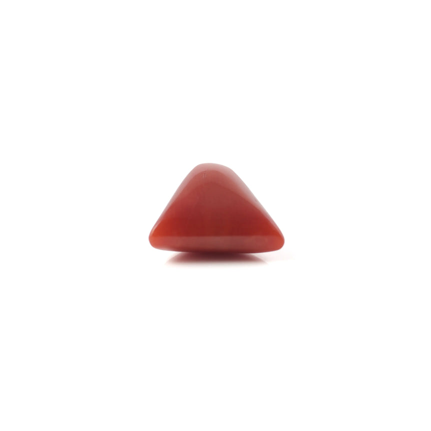 Red Coral - 5.1 Carat - Pramogh
