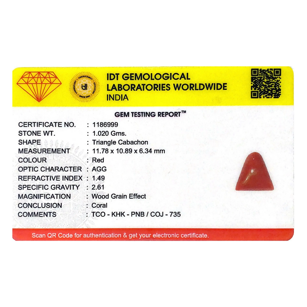 Red Coral - 5.1 Carat - Pramogh