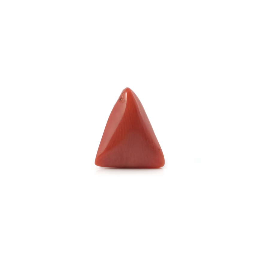 Red Coral - 3.45 Carat - Pramogh