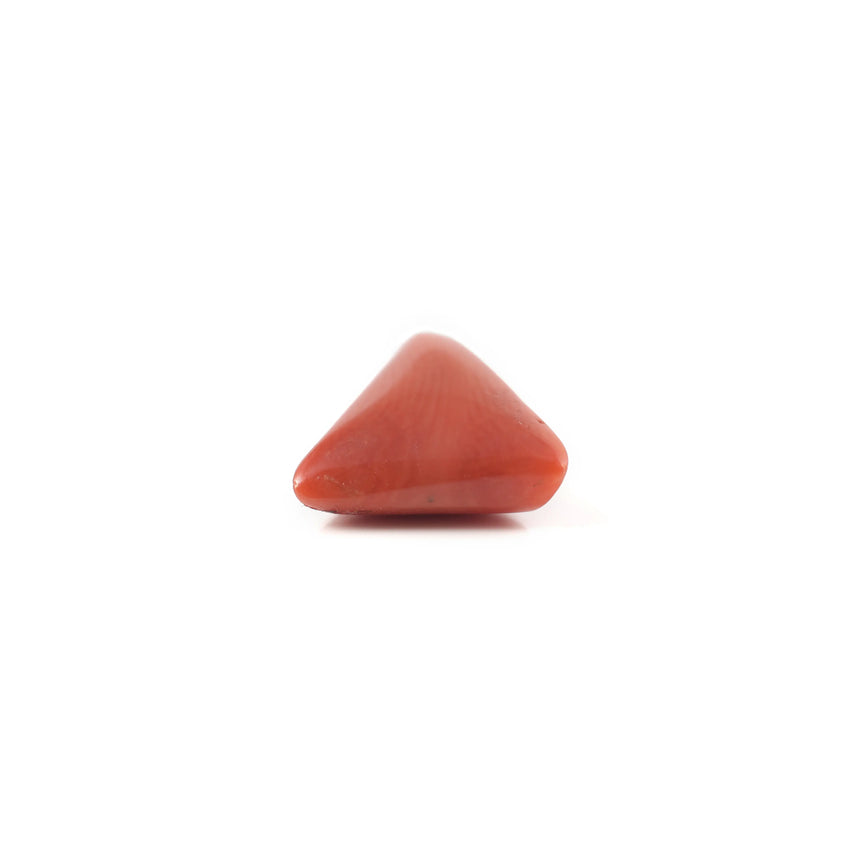 Red Coral - 3.45 Carat - Pramogh