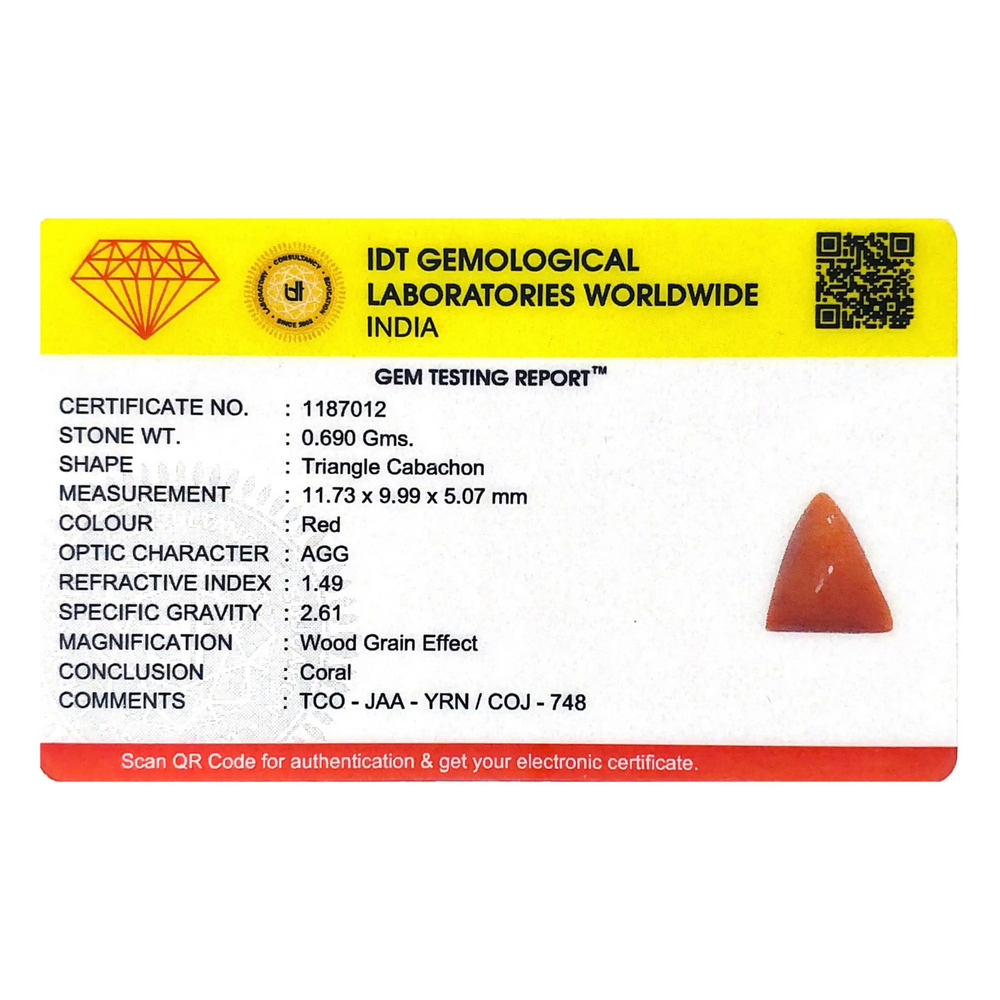 Red Coral - 3.45 Carat - Pramogh