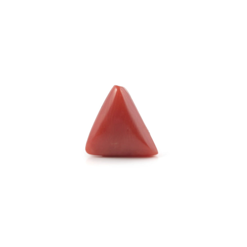Red Coral - 3.35 Carat - Pramogh