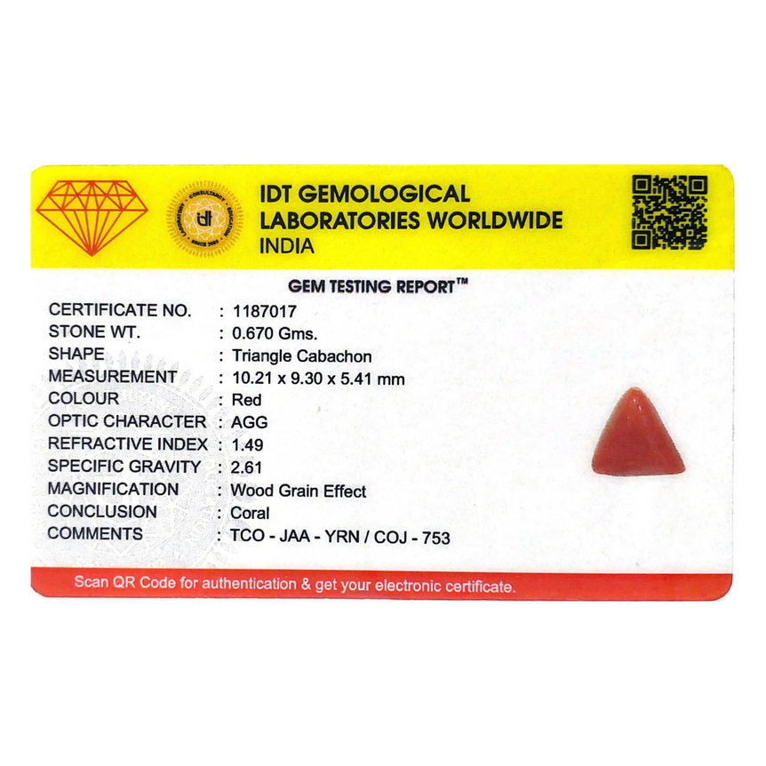 Red Coral - 3.35 Carat - Pramogh