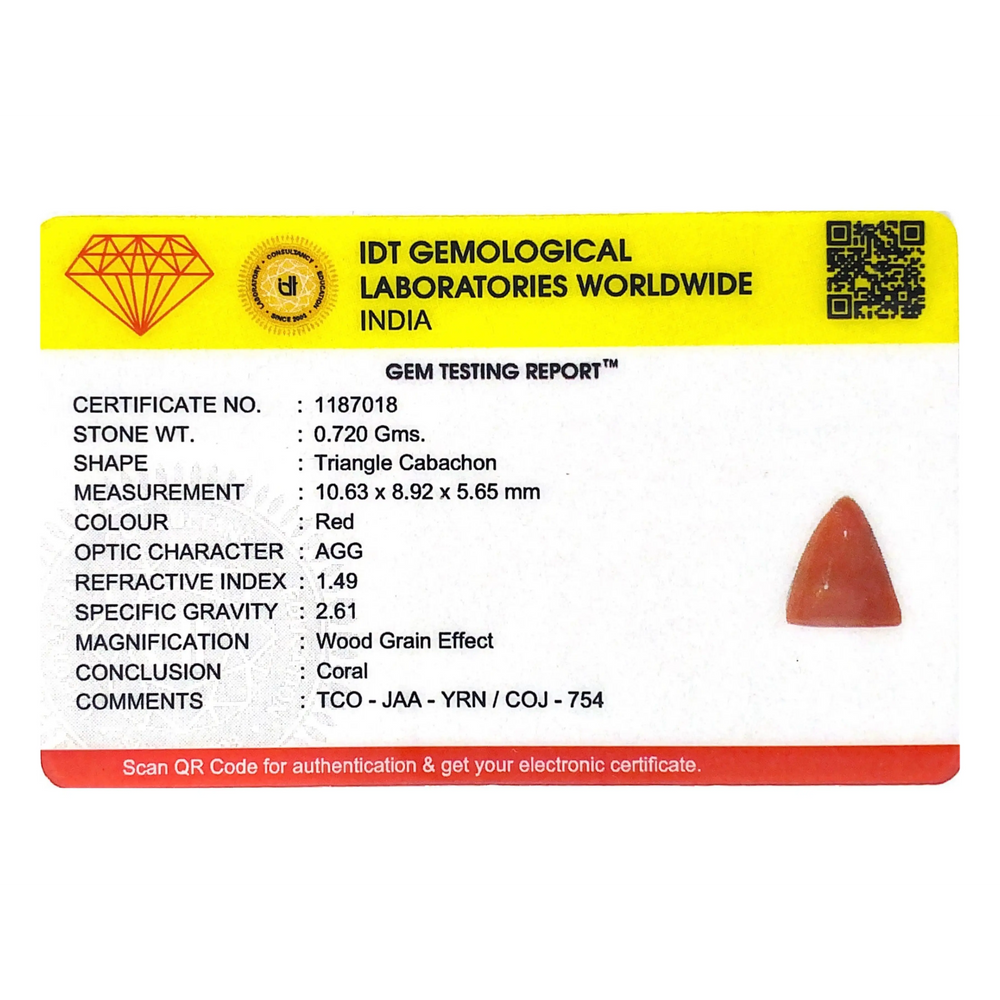 Red Coral - 3.6 Carat - Pramogh