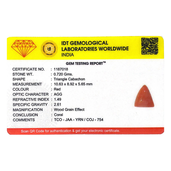 Red Coral - 3.6 Carat - Pramogh