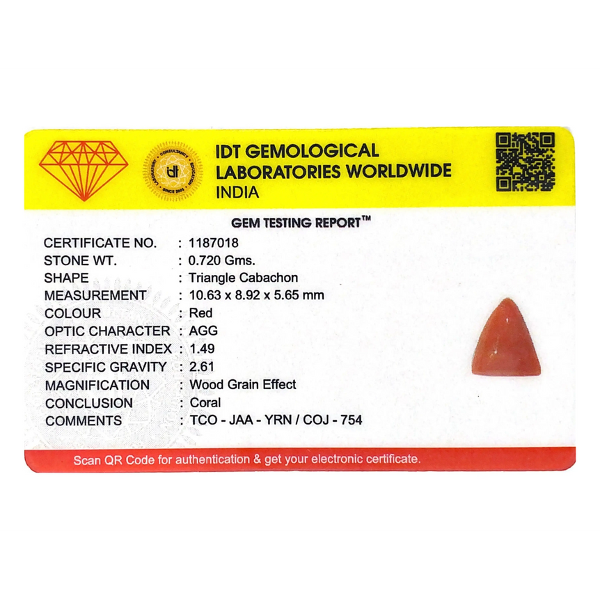 Red Coral - 3.6 Carat - Pramogh