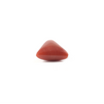 Red Coral - 3.6 Carat - Pramogh