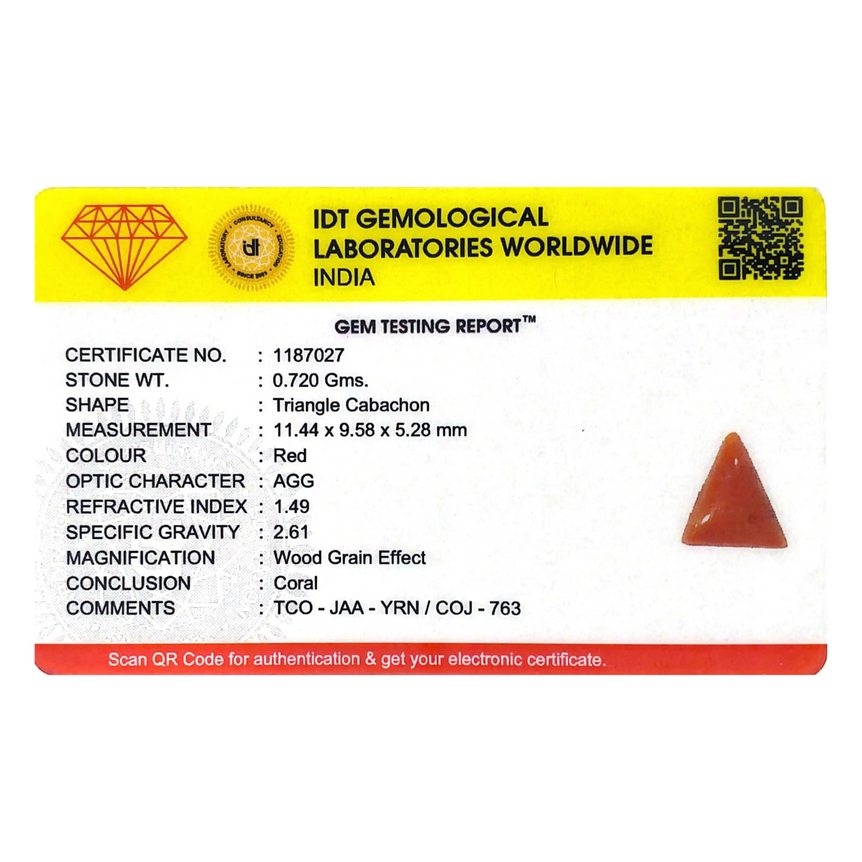 Red Coral - 3.6 Carat - Pramogh