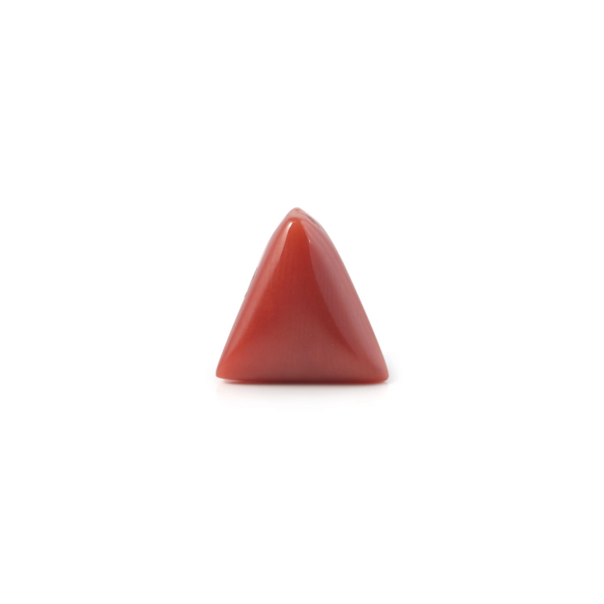 Red Coral - 3.6 Carat - Pramogh