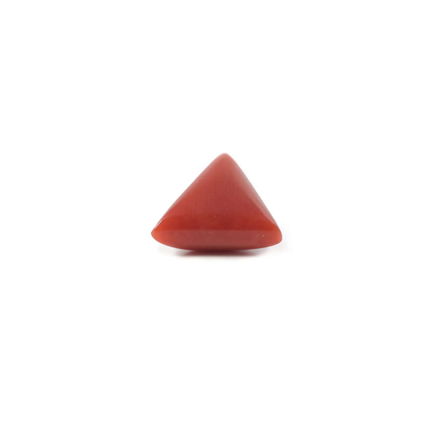 Red Coral - 3.6 Carat - Pramogh