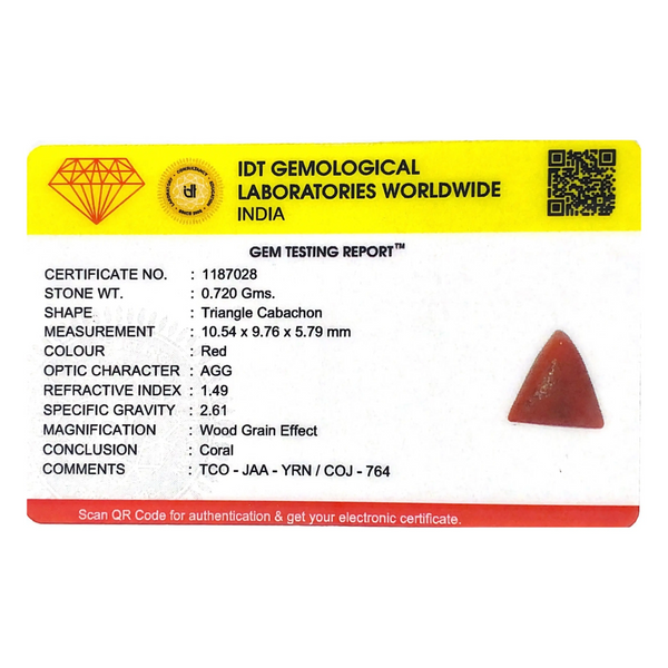 Red Coral - 3.6 Carat - Pramogh