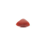 Red Coral - 3.33 Carat - Pramogh