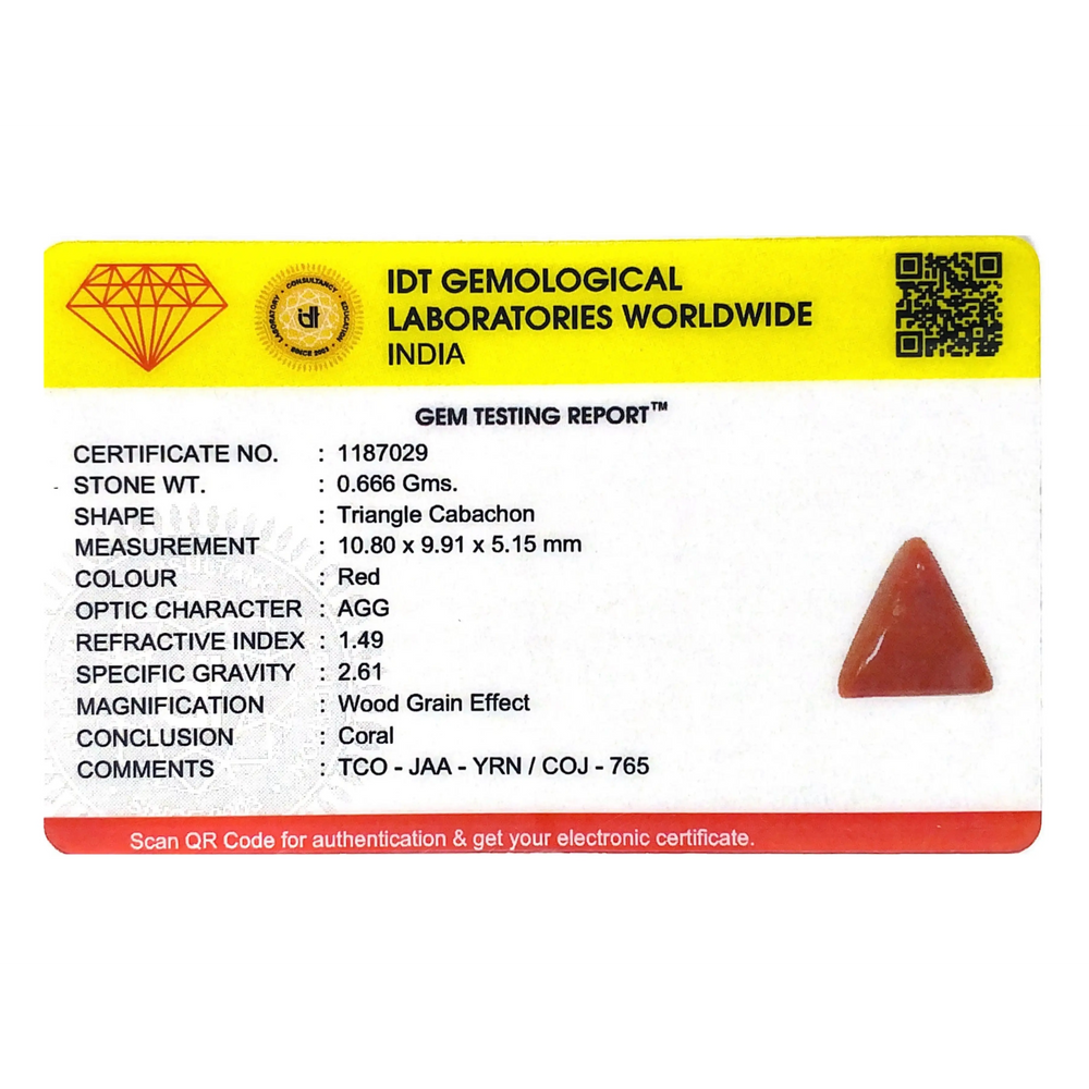 Red Coral - 3.33 Carat - Pramogh