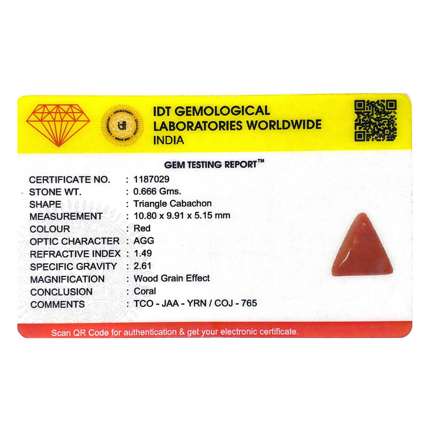 Red Coral - 3.33 Carat - Pramogh