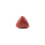 Red Coral - 3.6 Carat - Pramogh
