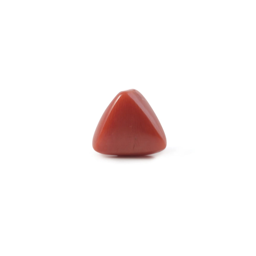 Red Coral - 3.6 Carat - Pramogh