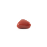 Red Coral - 3.6 Carat - Pramogh