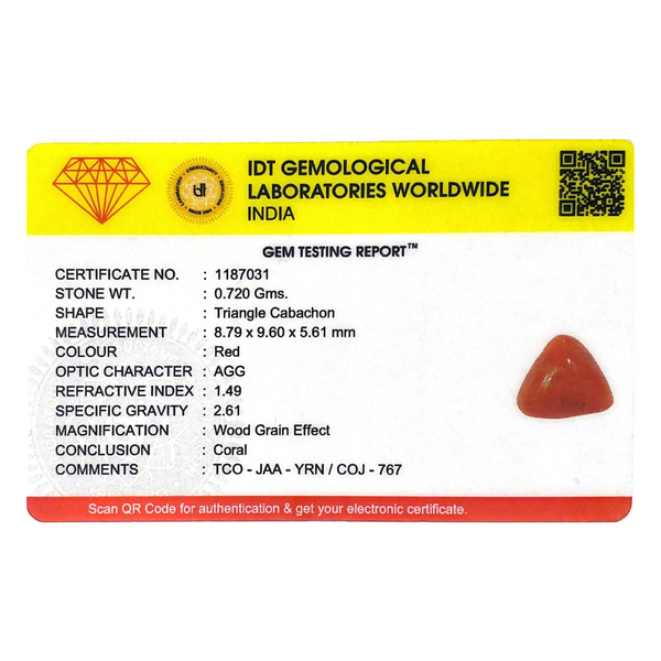 Red Coral - 3.6 Carat - Pramogh
