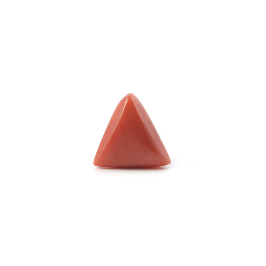 Red Coral - 3.33 Carat - Pramogh