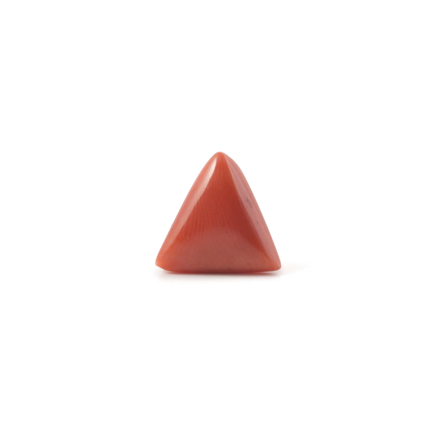 Red Coral - 3.33 Carat - Pramogh