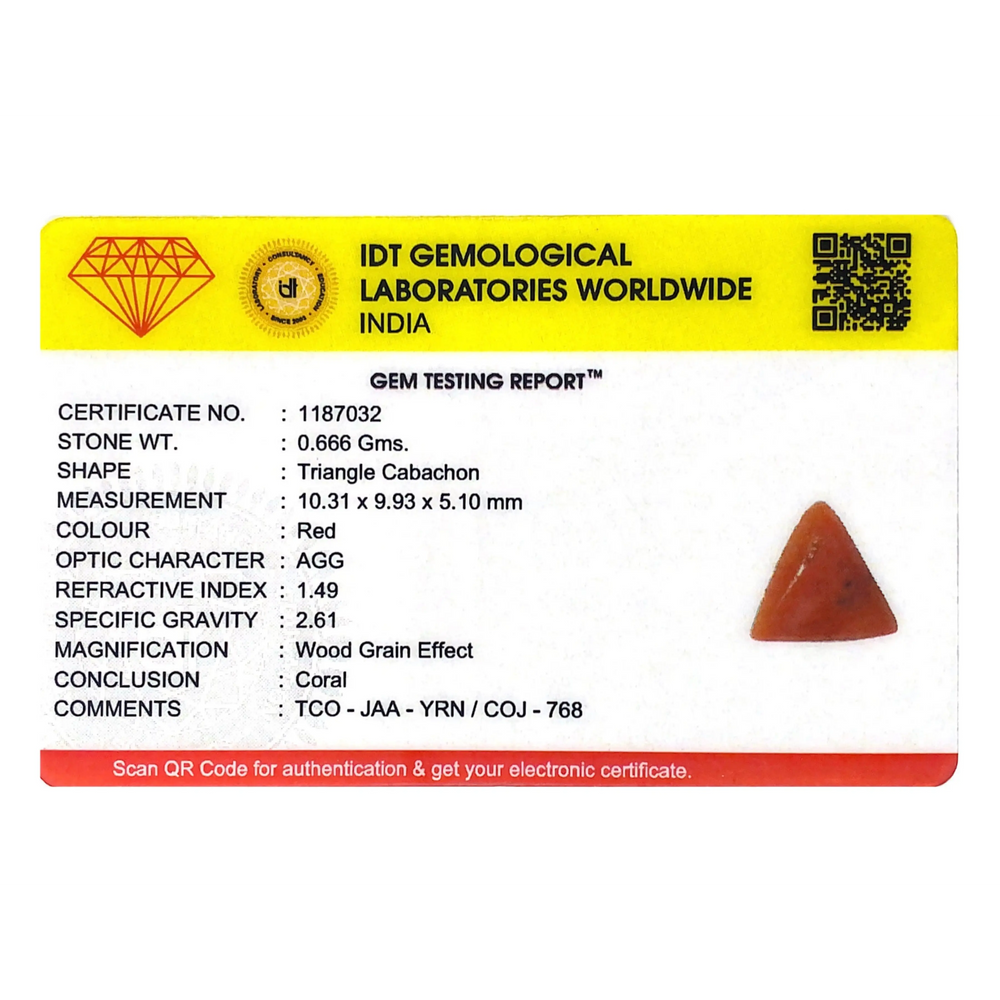 Red Coral - 3.33 Carat - Pramogh