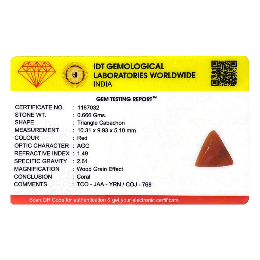 Red Coral - 3.33 Carat - Pramogh