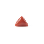Red Coral - 3.7 Carat - Pramogh