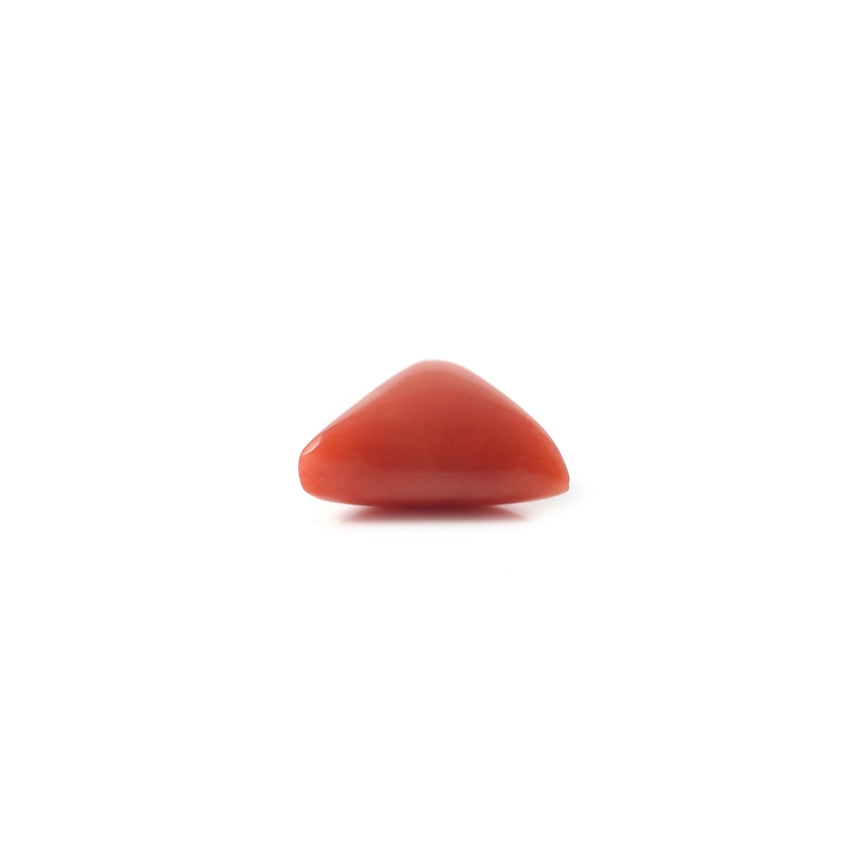 Red Coral - 3.7 Carat - Pramogh