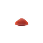 Red Coral - 3.7 Carat - Pramogh