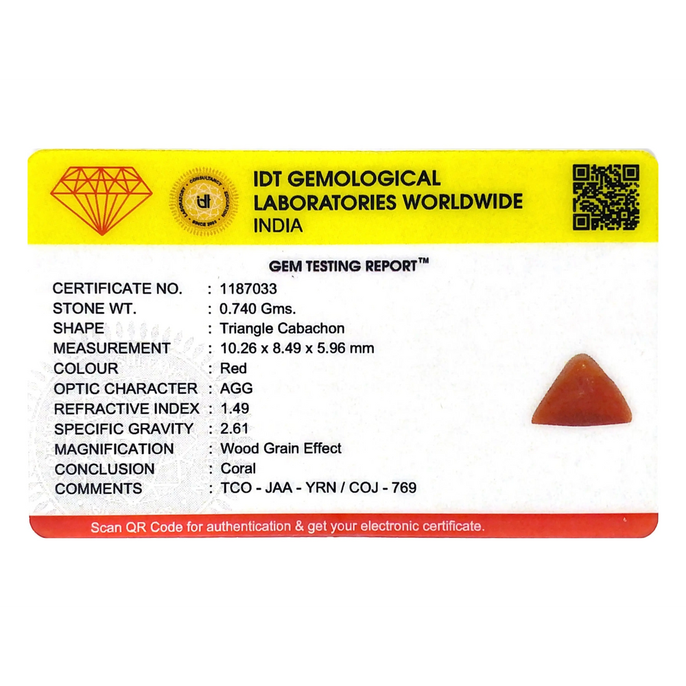Red Coral - 3.7 Carat - Pramogh