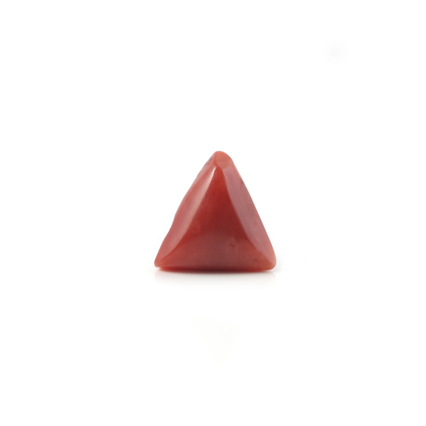 Red Coral - 3.7 Carat - Pramogh