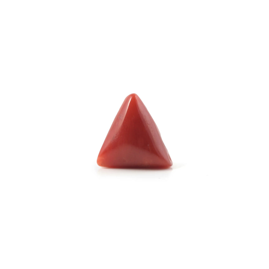 Red Coral - 3.7 Carat - Pramogh