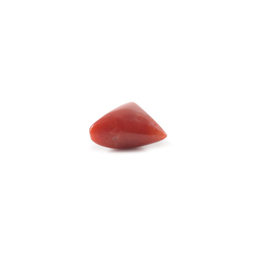 Red Coral - 3.7 Carat - Pramogh