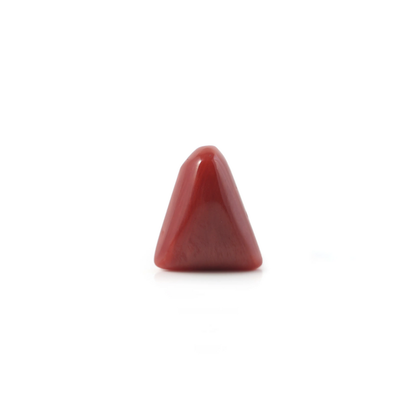 Red Coral - 4.8 Carat - Pramogh