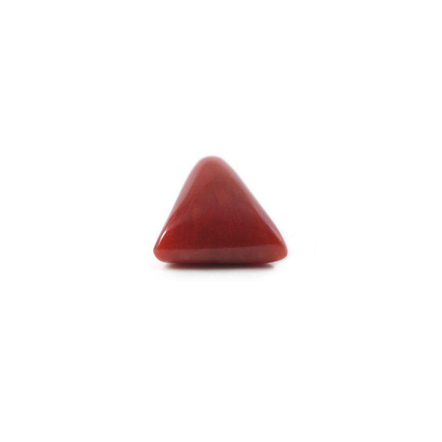 Red Coral - 4.8 Carat - Pramogh