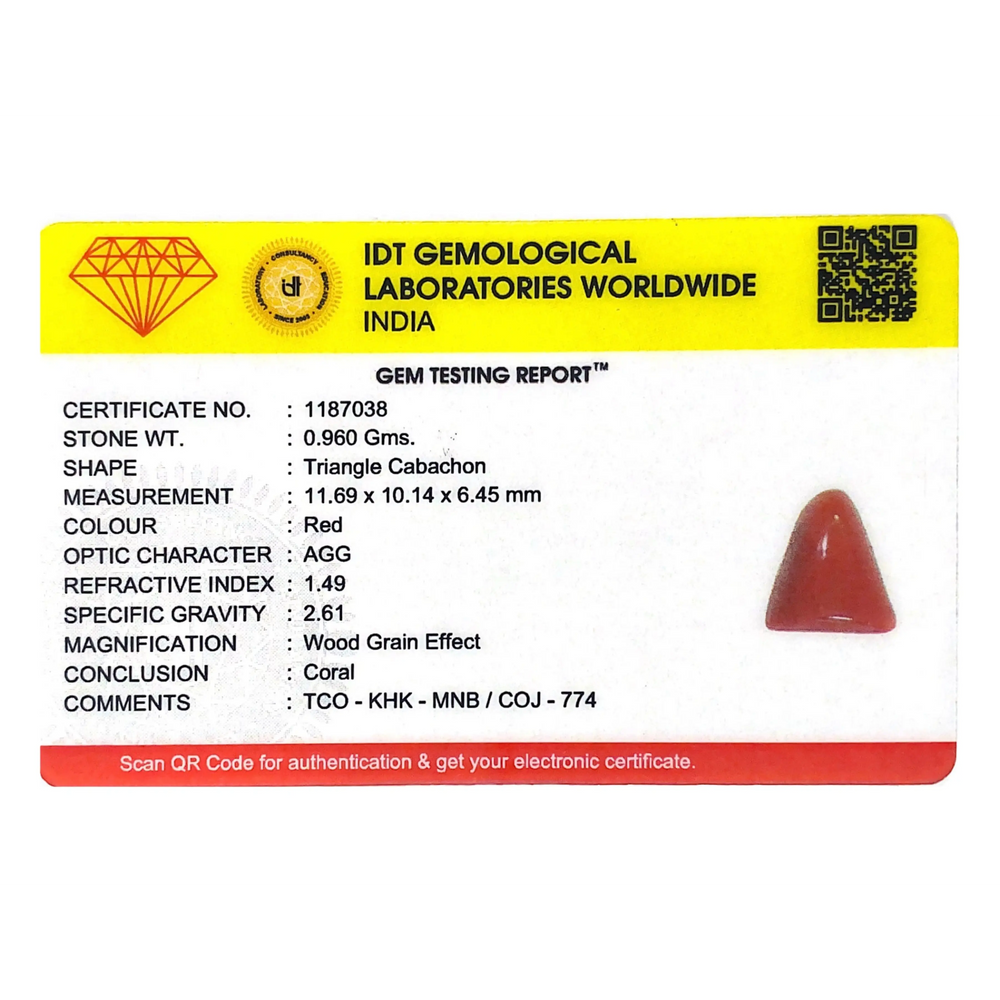 Red Coral - 4.8 Carat - Pramogh