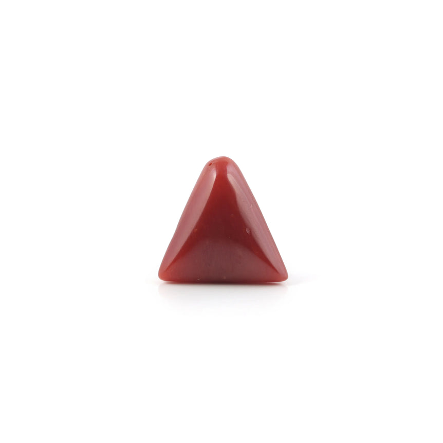 Red Coral - 4.8 Carat - Pramogh