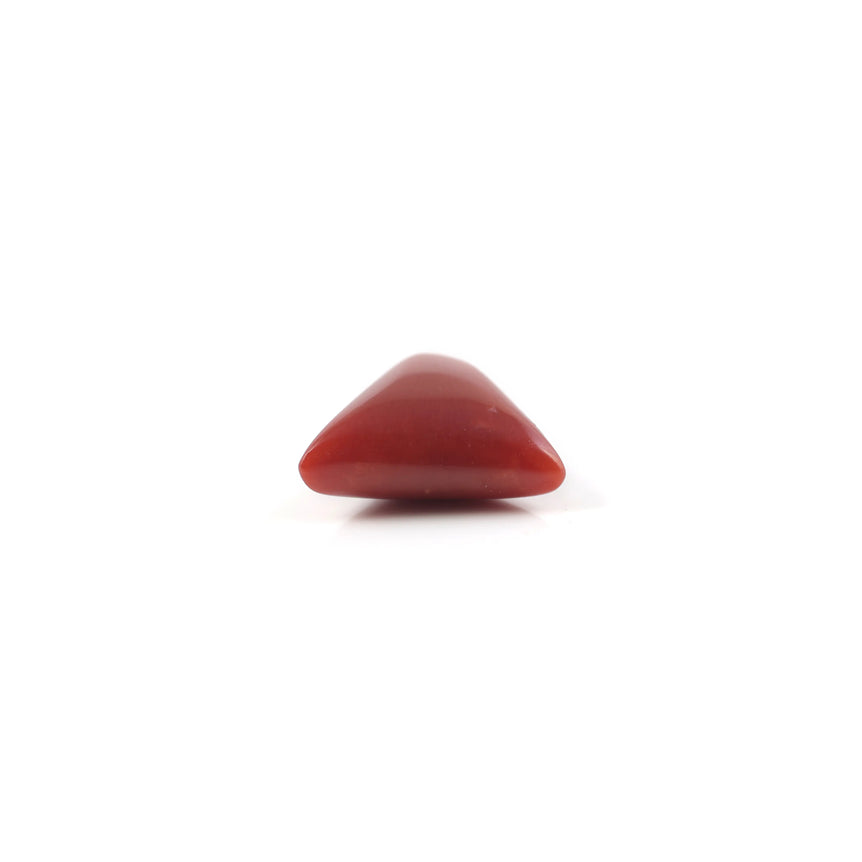 Red Coral - 4.8 Carat - Pramogh