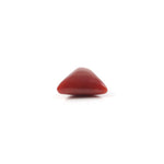 Red Coral - 4.8 Carat - Pramogh