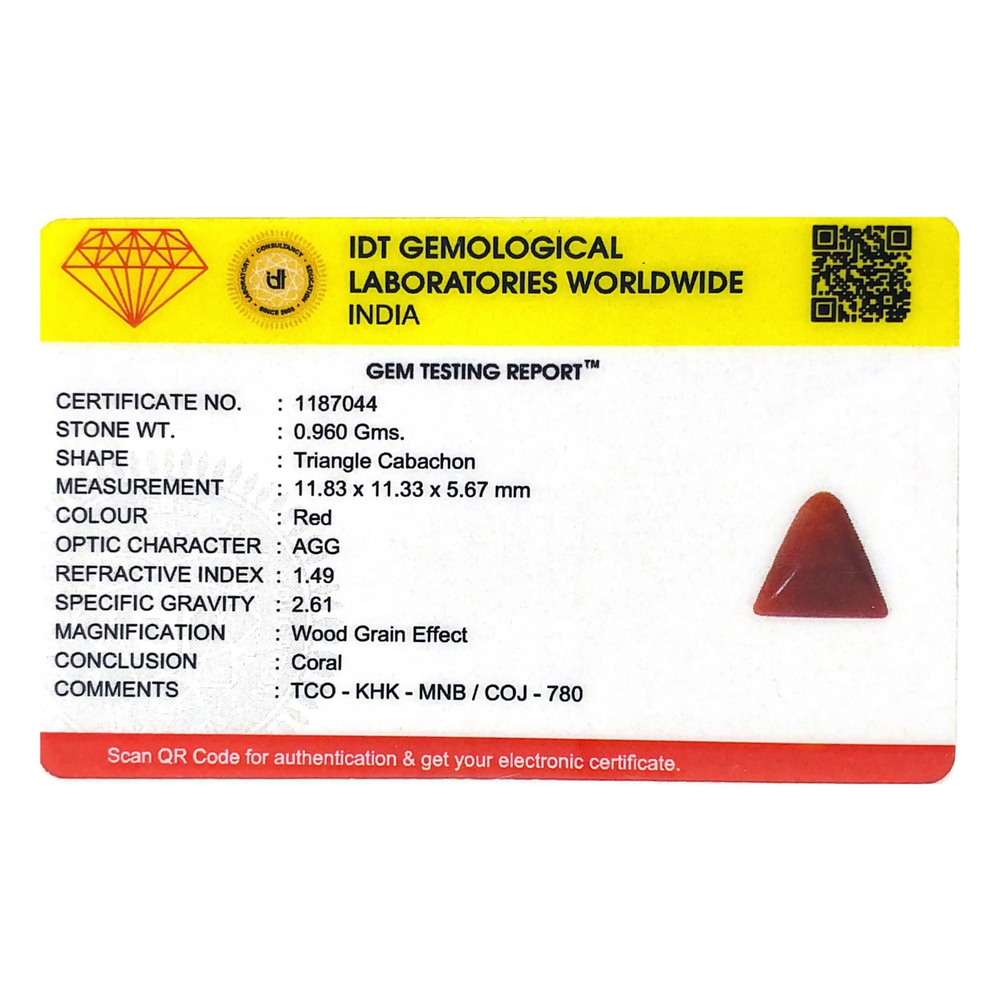 Red Coral - 4.8 Carat - Pramogh