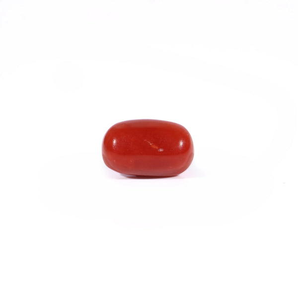 Red Coral - Moonga - 2.67 Carat - Pramogh