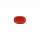 Red Coral - Moonga - 2.67 Carat - Pramogh