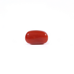 Red Coral - 2.67 Carat