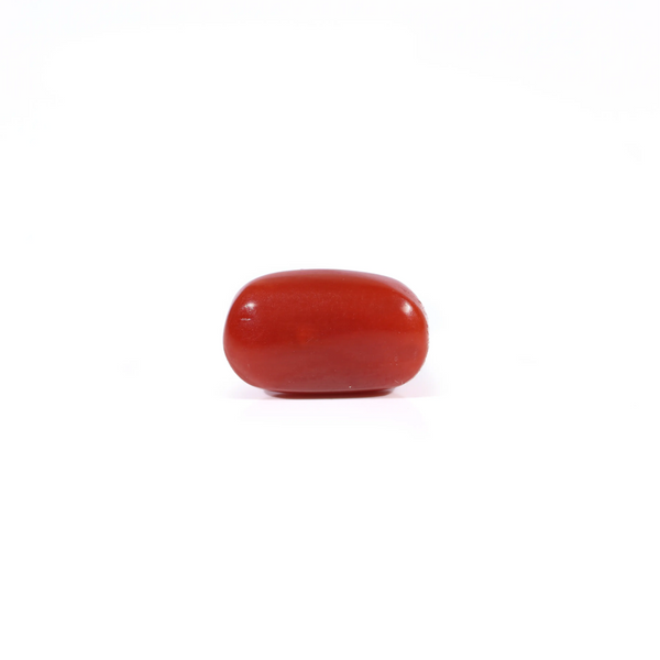 Red Coral - 2.67 Carat