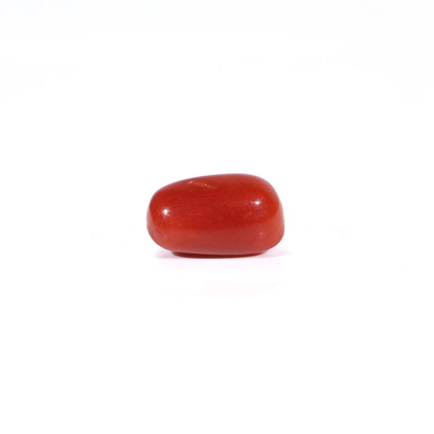 Red Coral - 2.67 Carat