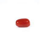 Red Coral - 2.67 Carat